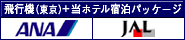 飛行機・湯の川プリンスホテル渚亭　宿泊パッケージ
